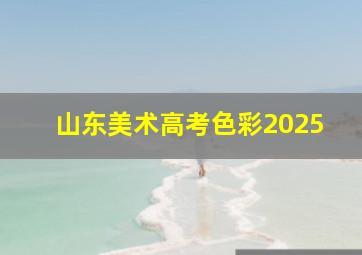 山东美术高考色彩2025