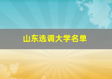 山东选调大学名单