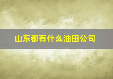 山东都有什么油田公司