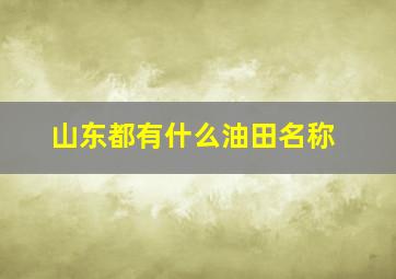 山东都有什么油田名称