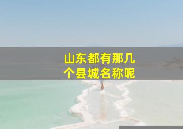 山东都有那几个县城名称呢