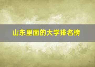 山东里面的大学排名榜