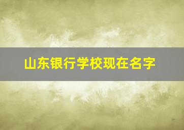 山东银行学校现在名字