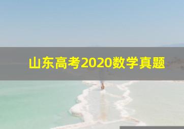 山东高考2020数学真题