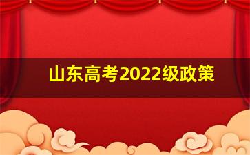 山东高考2022级政策