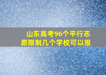 山东高考96个平行志愿限制几个学校可以报