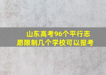 山东高考96个平行志愿限制几个学校可以报考