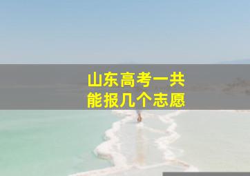 山东高考一共能报几个志愿