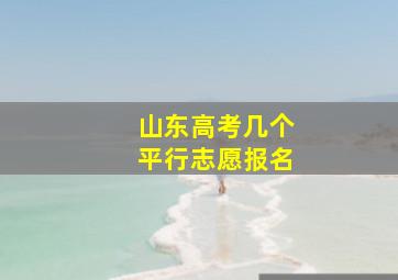 山东高考几个平行志愿报名