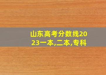 山东高考分数线2023一本,二本,专科