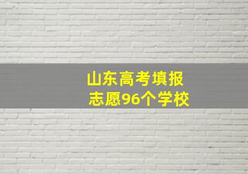 山东高考填报志愿96个学校