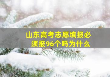 山东高考志愿填报必须报96个吗为什么