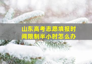 山东高考志愿填报时间限制半小时怎么办