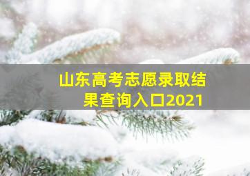 山东高考志愿录取结果查询入口2021