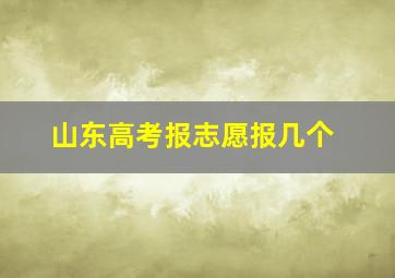 山东高考报志愿报几个