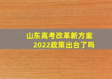 山东高考改革新方案2022政策出台了吗