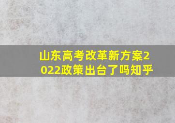 山东高考改革新方案2022政策出台了吗知乎