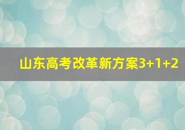 山东高考改革新方案3+1+2