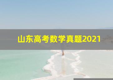 山东高考数学真题2021