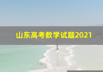 山东高考数学试题2021