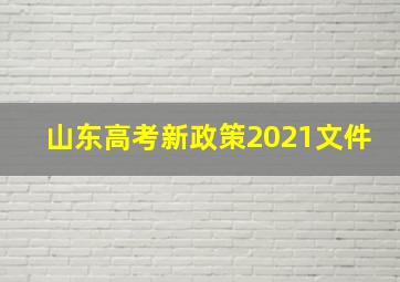 山东高考新政策2021文件