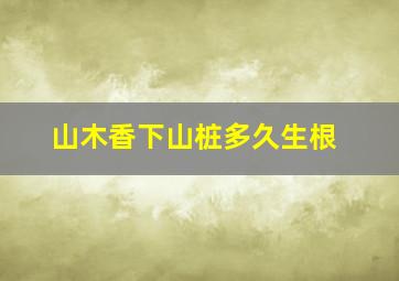 山木香下山桩多久生根