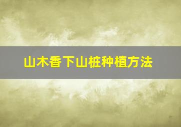 山木香下山桩种植方法