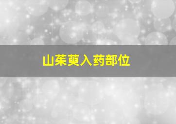 山茱萸入药部位