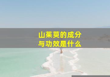 山茱萸的成分与功效是什么