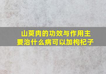 山萸肉的功效与作用主要治什么病可以加枸杞子