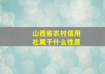 山西省农村信用社属于什么性质