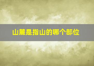 山麓是指山的哪个部位