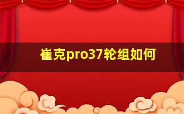 崔克pro37轮组如何