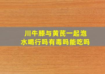 川牛膝与黄芪一起泡水喝行吗有毒吗能吃吗