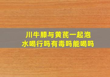 川牛膝与黄芪一起泡水喝行吗有毒吗能喝吗