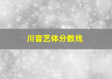 川音艺体分数线