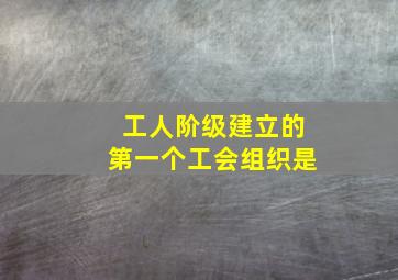 工人阶级建立的第一个工会组织是