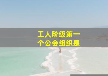 工人阶级第一个公会组织是