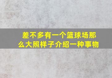 差不多有一个篮球场那么大照样子介绍一种事物