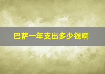 巴萨一年支出多少钱啊