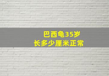 巴西龟35岁长多少厘米正常