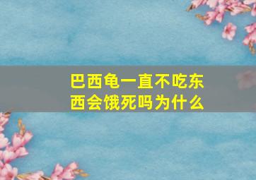 巴西龟一直不吃东西会饿死吗为什么