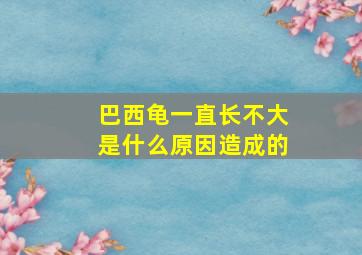 巴西龟一直长不大是什么原因造成的