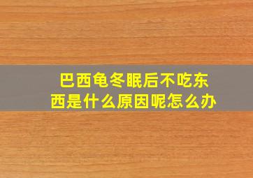 巴西龟冬眠后不吃东西是什么原因呢怎么办