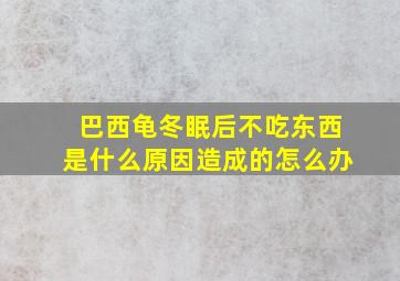 巴西龟冬眠后不吃东西是什么原因造成的怎么办