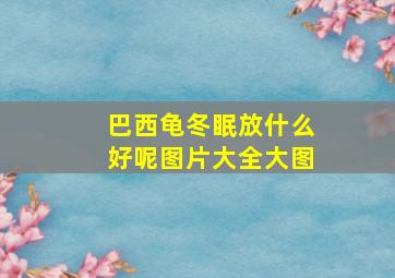 巴西龟冬眠放什么好呢图片大全大图