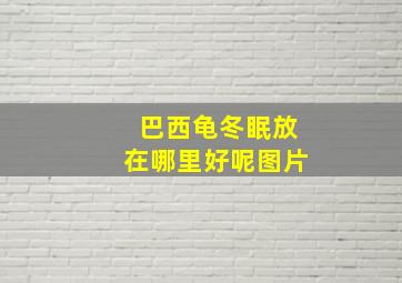 巴西龟冬眠放在哪里好呢图片