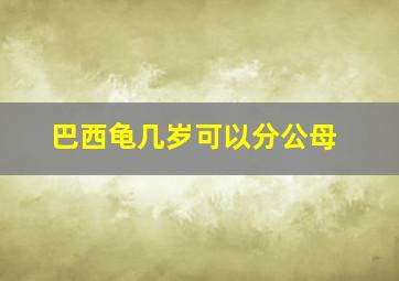 巴西龟几岁可以分公母