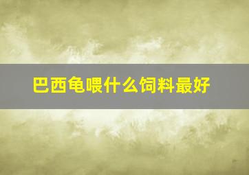 巴西龟喂什么饲料最好