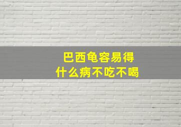 巴西龟容易得什么病不吃不喝